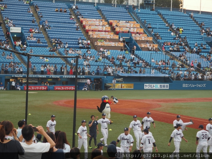 東京養樂多燕子主場～神宮球場再訪