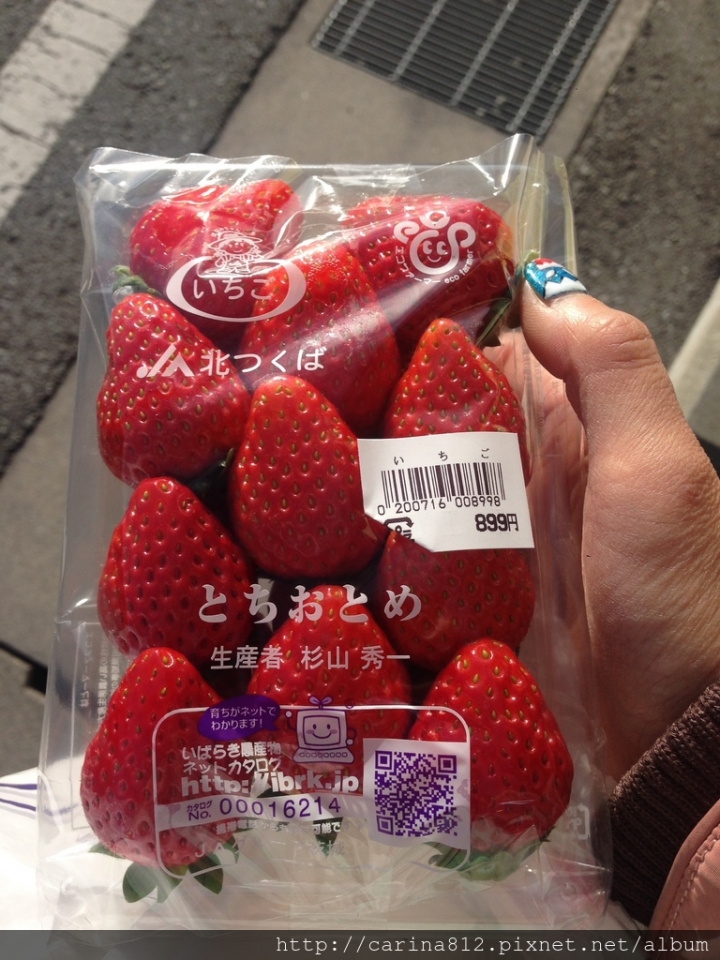 日本山梨縣 富士河口湖溫泉新世紀飯店 New Century 時間靜止流動