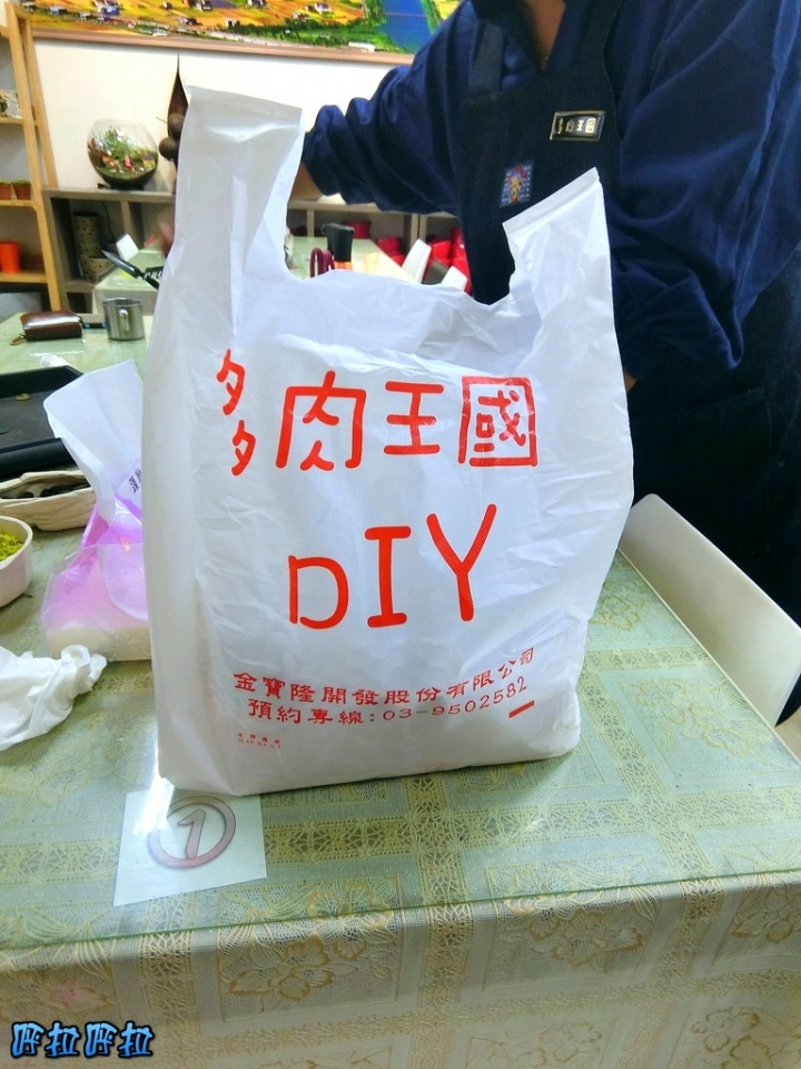 [宜蘭景點]多肉王國-哥插的不是花，是遠離塵囂的浪漫(近羅東夜市、室內景點)