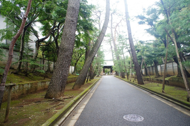 【玩】 日本 東京/世田谷 豪徳寺 - 招財貓起源地