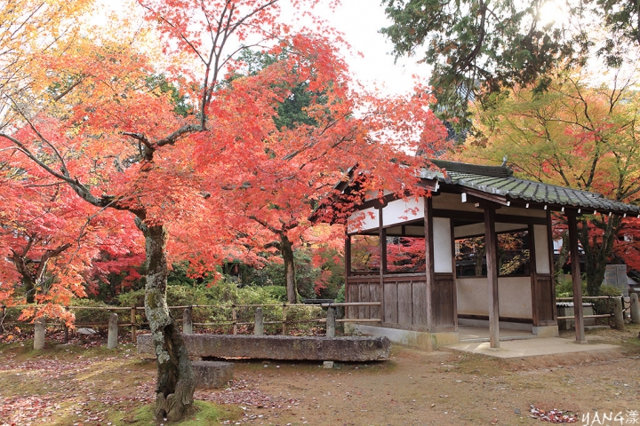 【京都】真如堂（真正極楽寺），京都賞紅葉的免費好景點