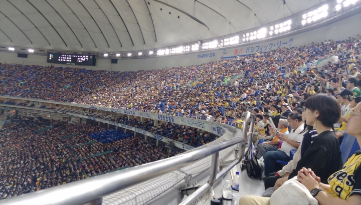 [東京]東京巨蛋朝聖之旅 巨人vs阪神