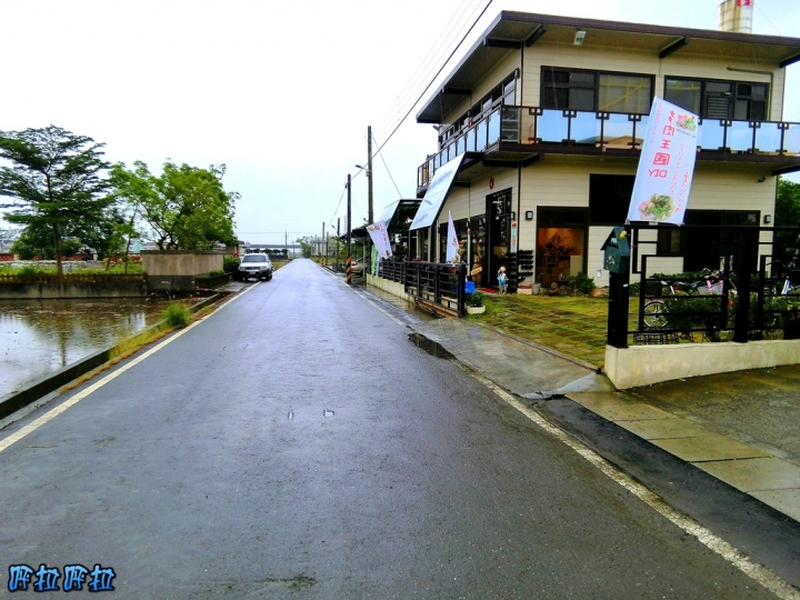 [宜蘭景點]多肉王國-哥插的不是花，是遠離塵囂的浪漫(近羅東夜市、室內景點)