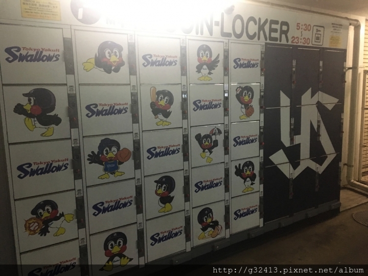 東京養樂多燕子主場～神宮球場再訪