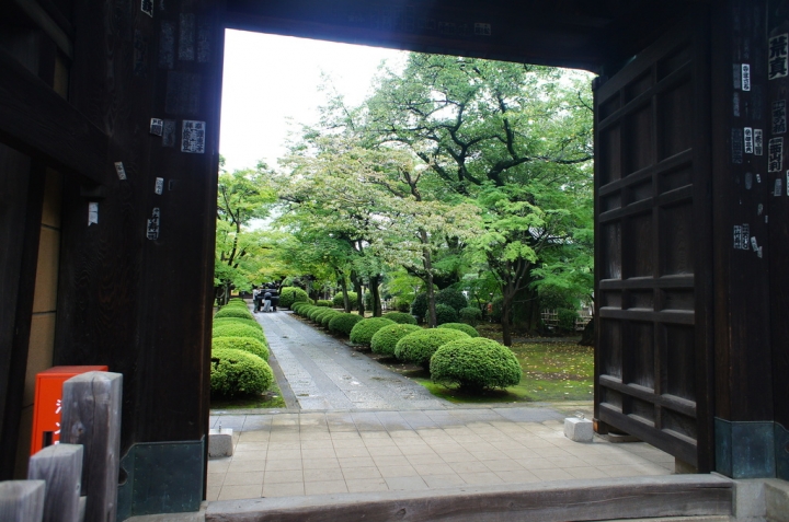 【玩】 日本 東京/世田谷 豪徳寺 - 招財貓起源地