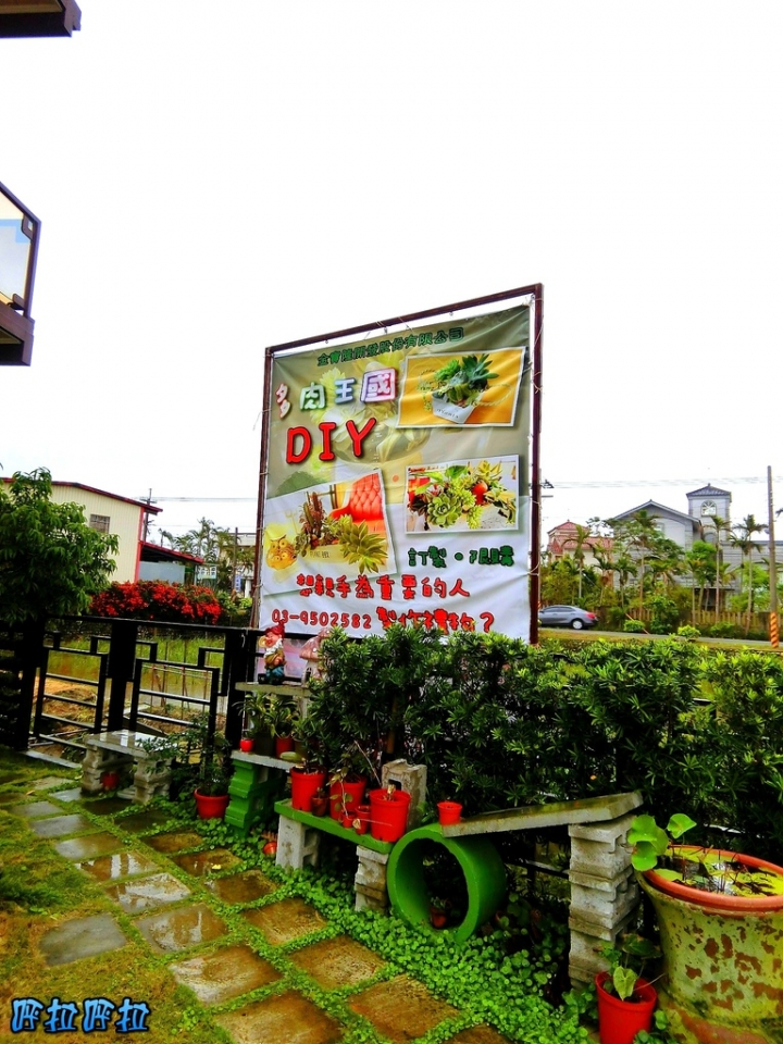 [宜蘭景點]多肉王國-哥插的不是花，是遠離塵囂的浪漫(近羅東夜市、室內景點)