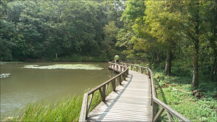 【宜蘭縣員山景點】免費需申請美景如畫的福山植物園