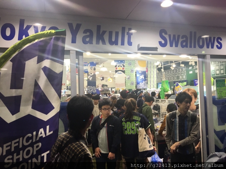 東京養樂多燕子主場～神宮球場再訪