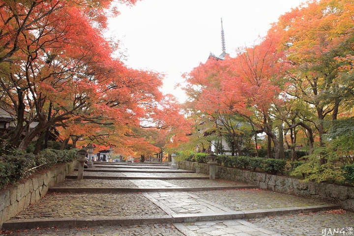【京都】真如堂（真正極楽寺），京都賞紅葉的免費好景點