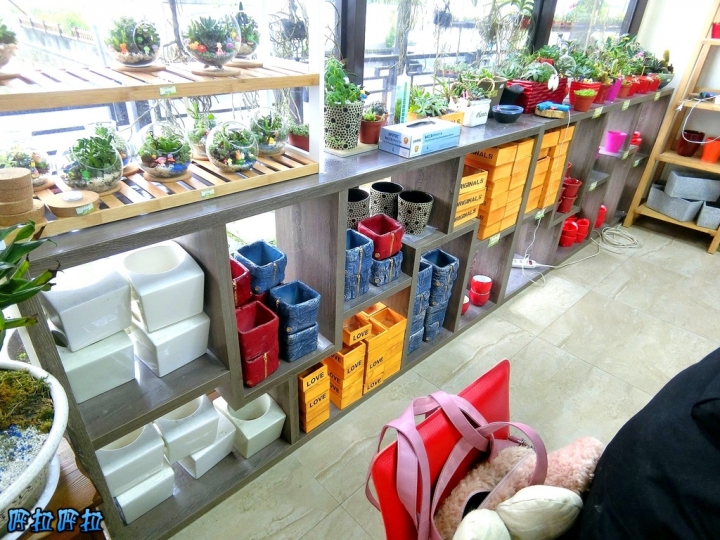 [宜蘭景點]多肉王國-哥插的不是花，是遠離塵囂的浪漫(近羅東夜市、室內景點)