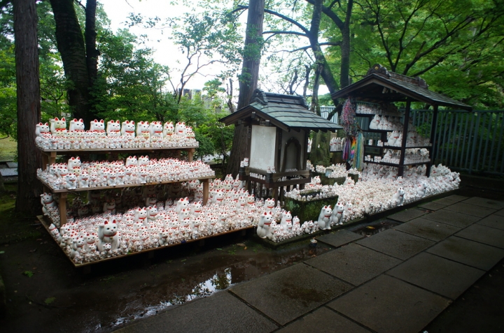【玩】 日本 東京/世田谷 豪徳寺 - 招財貓起源地