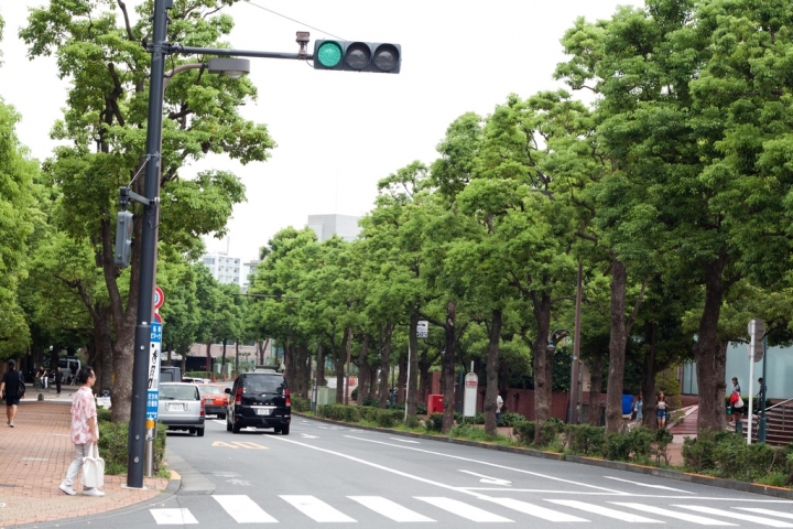 【美食。食記】東京 惠比壽 比台灣便宜好多的頂級牛排(預約說明) 勞瑞斯 Lawry’s The Prime Rib 划算 日本 小孩 小朋友