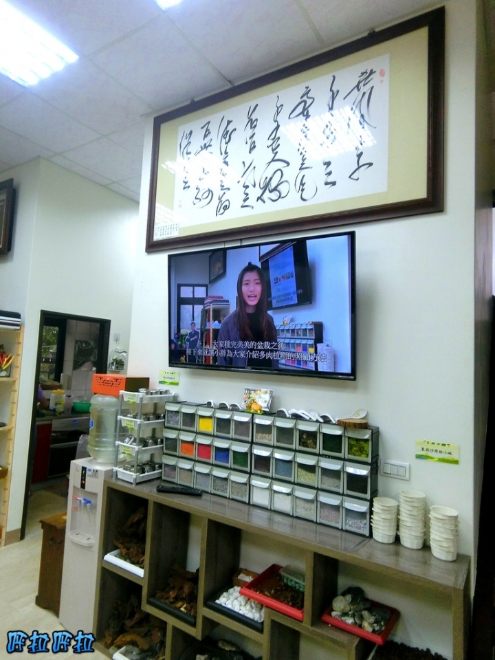 [宜蘭景點]多肉王國-哥插的不是花，是遠離塵囂的浪漫(近羅東夜市、室內景點)
