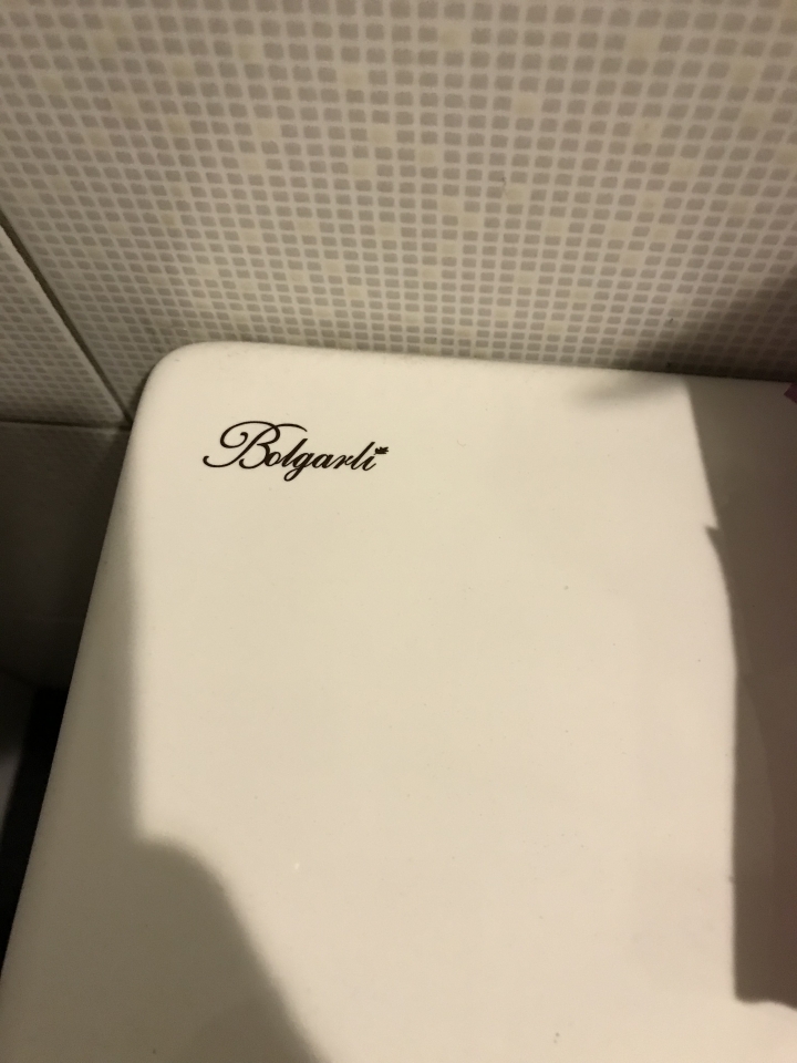 bolgarli馬桶蓋拆裝求助