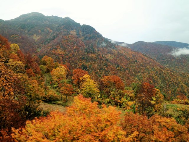 日本新潟--賞楓絕景~八海山纜車! by 香蕉草莓