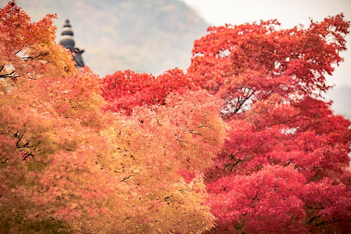 [旅記] 秋季首爾 I.SEOUL.U （連載完畢）