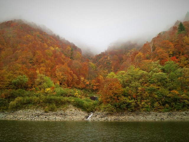 日本新潟--秘境賞紅葉 奥只見遊覽船 by 香蕉草莓