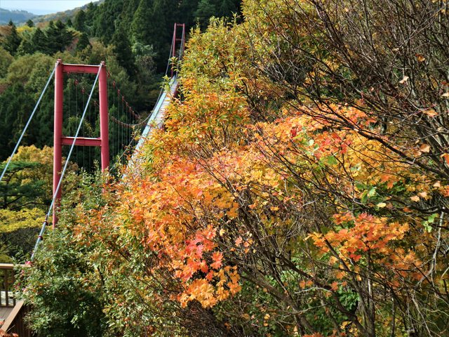 「新潟の紅葉」--越後第一寺~國上寺 + 五合庵