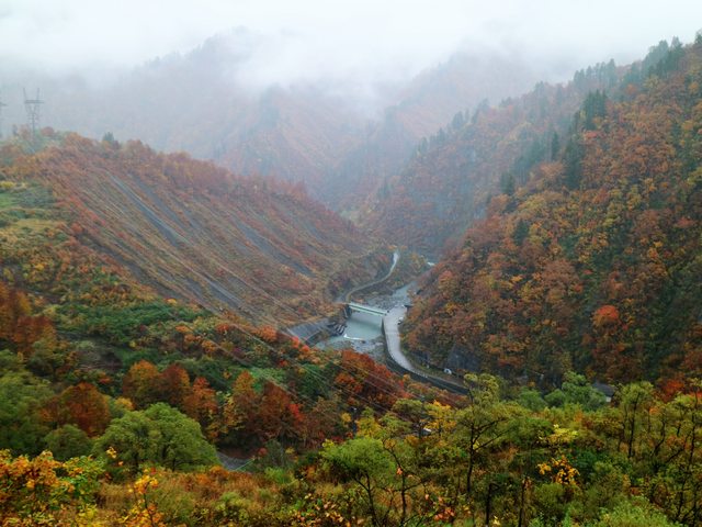 日本新潟--秘境賞紅葉 奥只見遊覽船 by 香蕉草莓