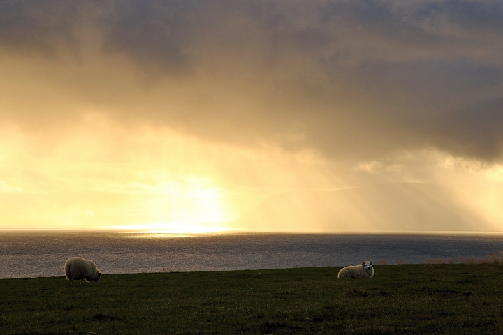 【慎入圖多字多！！】冰島～野性的矮人國度(終)