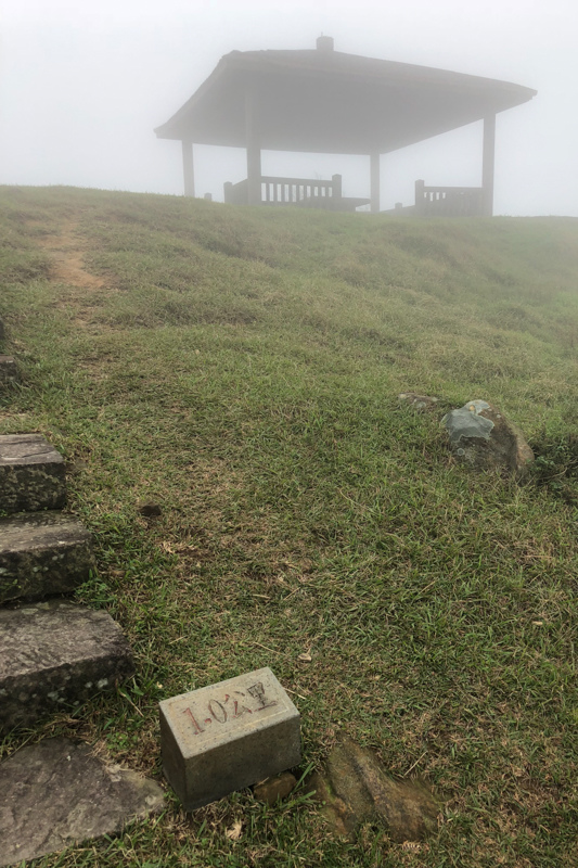 [亂拍照] 草嶺古道芒花季 (宜蘭大里-草嶺古道-埡口-桃源谷步道)