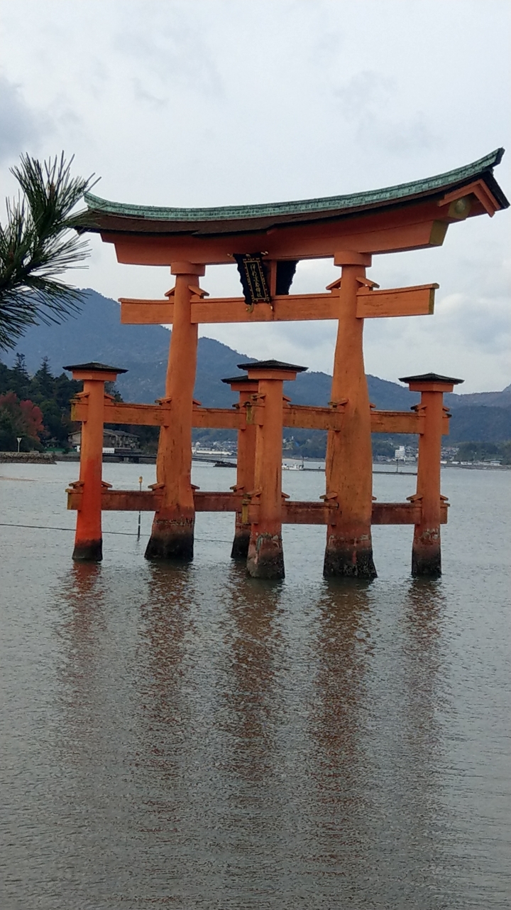 U11日本錦帶橋+宮島隨手拍微開箱