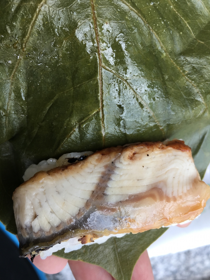 [食記] 柿の葉すし本舗 たなか，來品嚐日本奈良的美味特產，柿葉壽司！