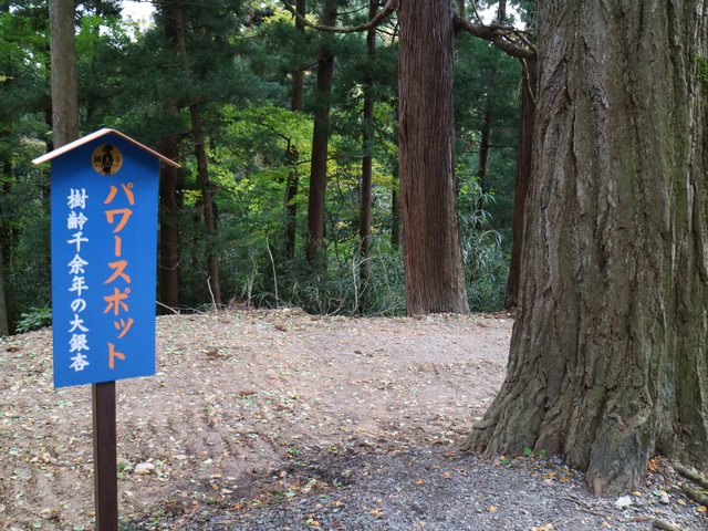 「新潟の紅葉」--越後第一寺~國上寺 + 五合庵