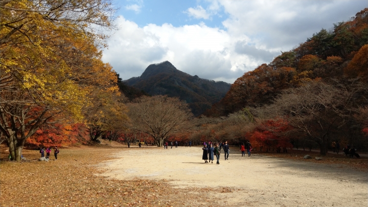 HTC U11 南韓 內藏山國家公園
