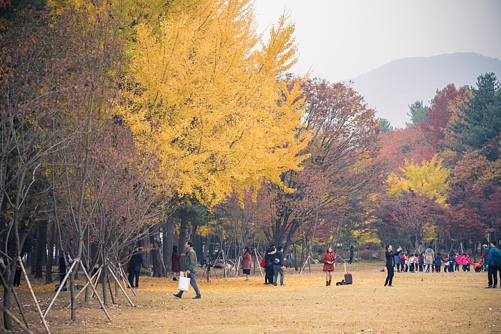 [旅記] 秋季首爾 I.SEOUL.U （連載完畢）