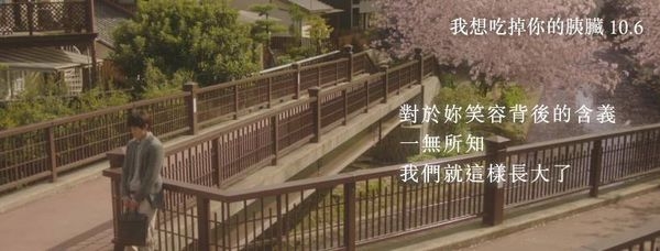 【影評】《我想吃掉你的胰臟》爆點不需多，一個就足夠