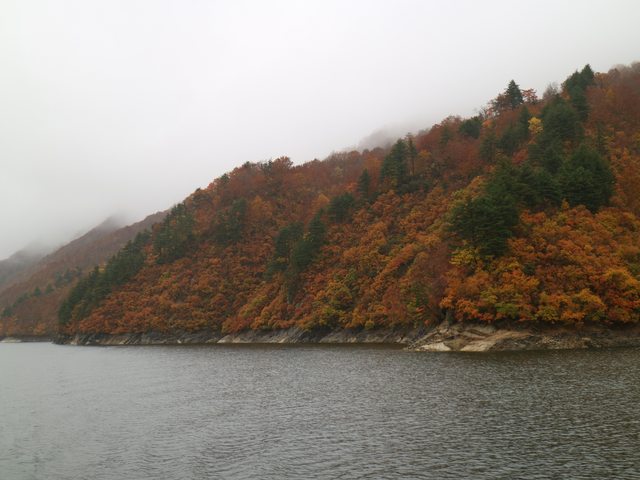日本新潟--秘境賞紅葉 奥只見遊覽船 by 香蕉草莓
