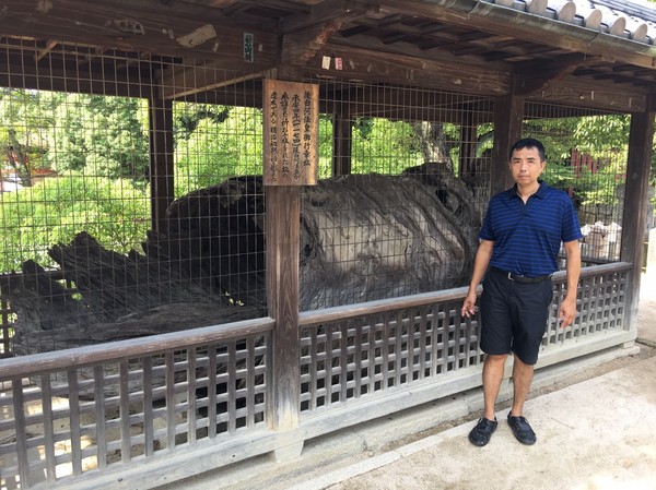 日本山陰山陽之旅:日本三景 宮島嚴島神社