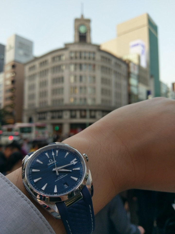 [開箱] OMEGA Aqua Terra 8900 -
