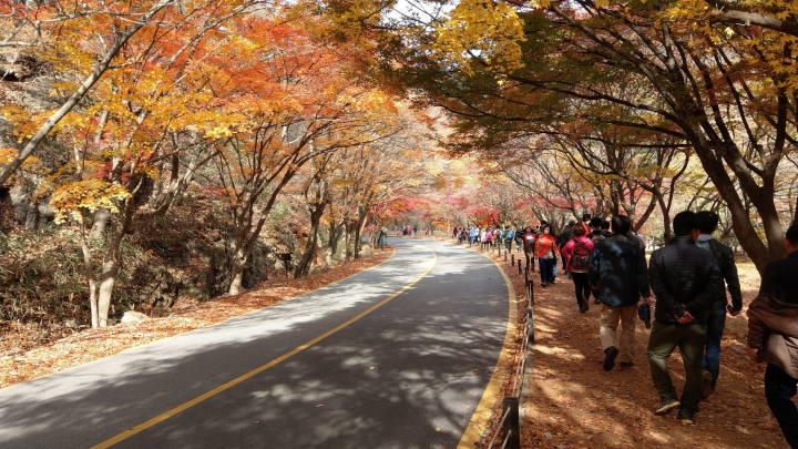 HTC U11 南韓 內藏山國家公園