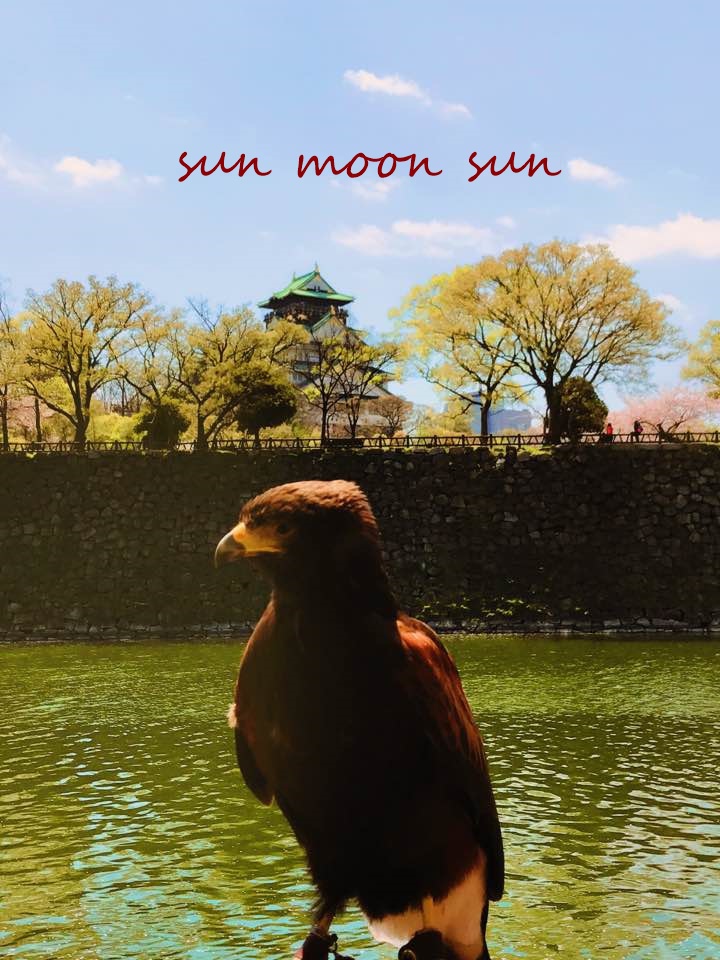 ＜日本＞教你如何看到滿開的夢幻櫻花海