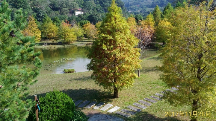 南庄雲水度假森林