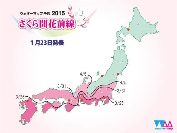 ＜日本＞教你如何看到滿開的夢幻櫻花海