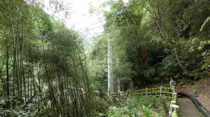 台７線大溪～巴陵全記錄－北橫吊橋之旅