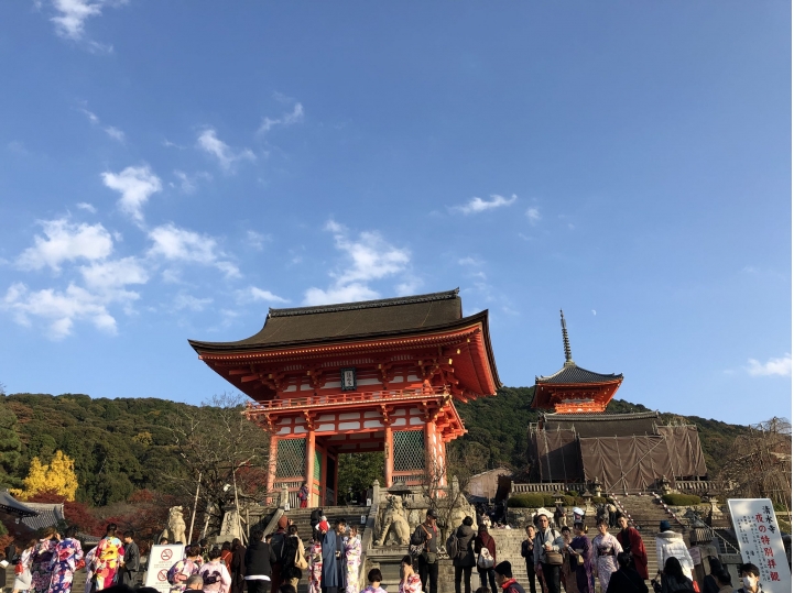 分享iPhone x照片