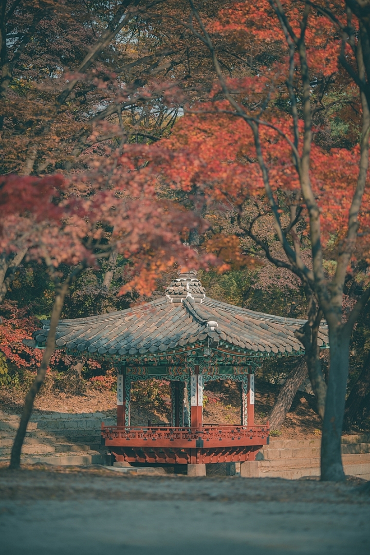 [旅記] 秋季首爾 I.SEOUL.U （連載完畢）
