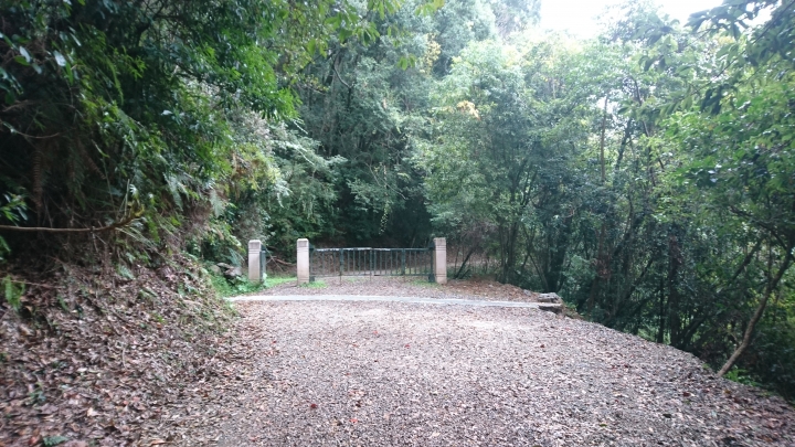 『那些Bikepacking的日子』 - 司馬限林道