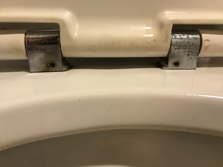 bolgarli馬桶蓋拆裝求助