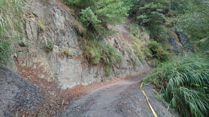 『那些Bikepacking的日子』 - 司馬限林道