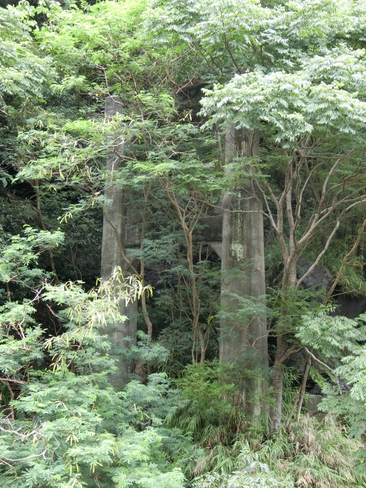 台７線大溪～巴陵全記錄－北橫吊橋之旅