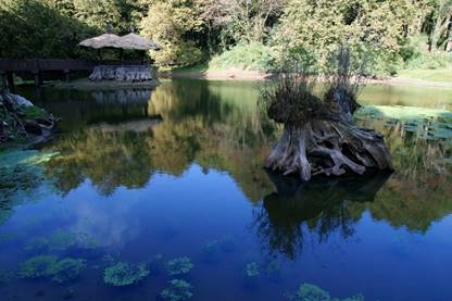 鄒遊阿里山好行圓滿台灣好行套票熱烈開賣中
