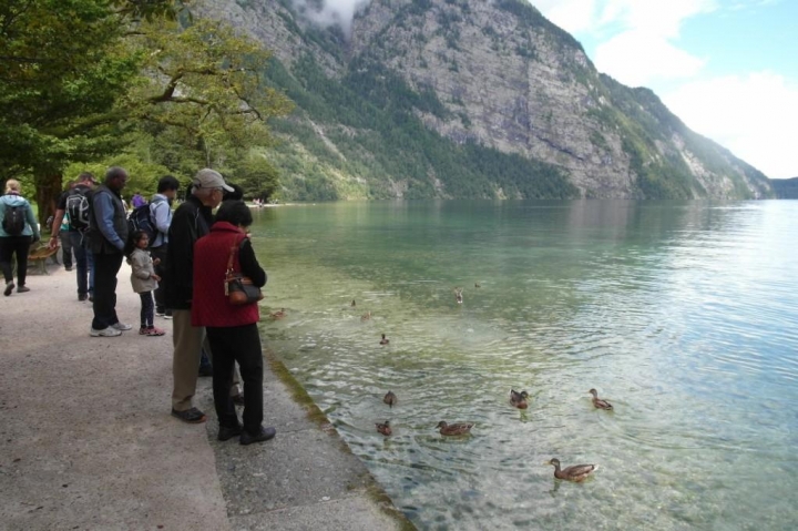 同遊德奧之旅 團聚家人情感（太平洋旅行社）