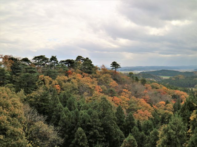 「新潟の紅葉」--越後第一寺~國上寺 + 五合庵