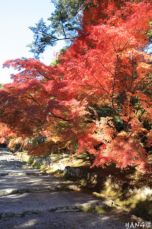 【京都嵐山】小倉山二尊院，嵐山知名紅葉景點