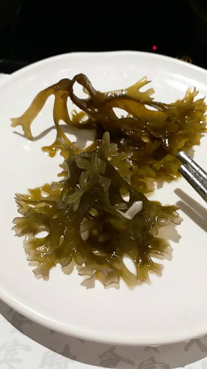 請問這圖片內的是什麼藻類？